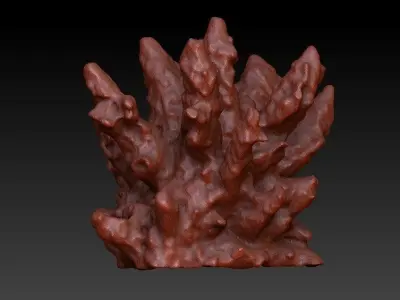 Sea Coral Scan 2 3D model