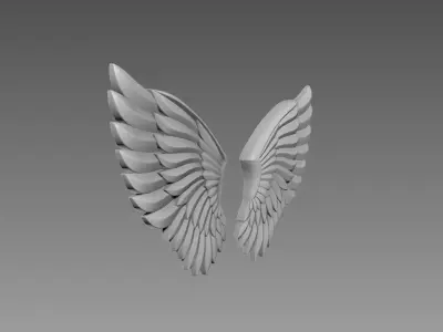 Wings relief 3D model