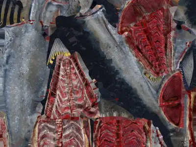 Butchered Bluefin Tuna Fish set and lods Low-poly 3D model