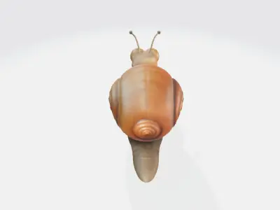 Cartoon snail 3D model