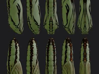 Chrysalis 2 butterfly Low-poly 3D model