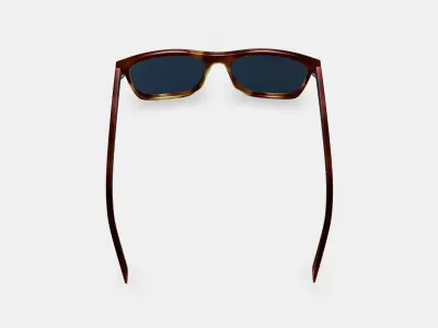 Fletcher Sunglasses in Rye Tortoise 3D model