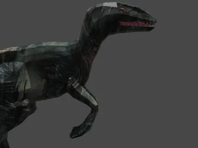 VELOCIRAPTOR DINOSAURS Low-poly 3D model