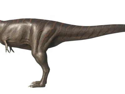 Albertosaurus Asset Pack Low-poly 3D model