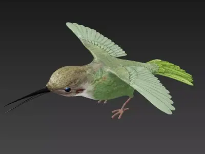 Trochilidae hummingbird Low-poly 3D model