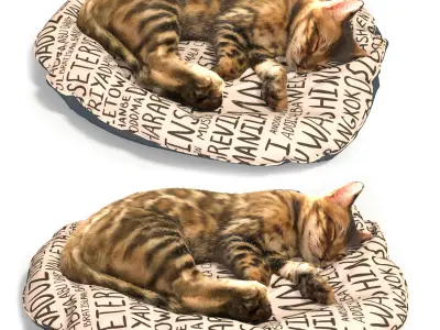 Bengal Kitten 3D model