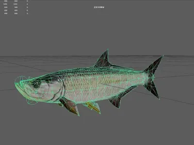Tarpon Low-poly 3D model