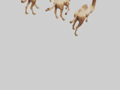 Camels galloping model Low-poly 3D model