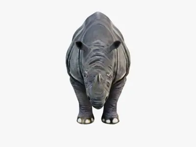 Rhino Free 3D model