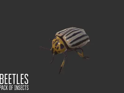 Beetles - pack of insects Low-poly 3D model
