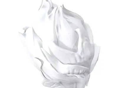 Warrior Valkyrie Angel helmet  3D model