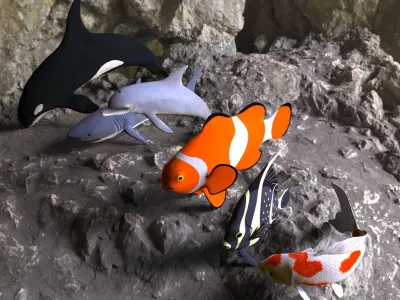 Fish shark koi carp dolphin killer whale clown fish and angel  3D model