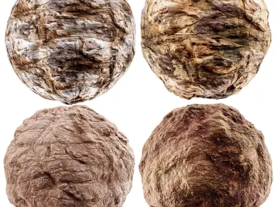 Rock texture collection 03 Texture