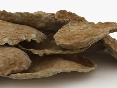 Whole Grain Cereal Pile 3D model