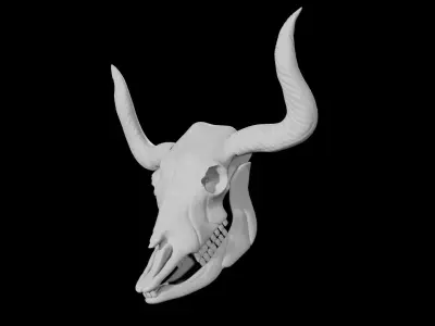 Bull Skull Low-poly 3D model