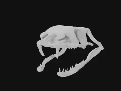Snake skull 3D model
