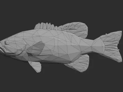 Low Poly Smallmouth Bass Low-poly 3D model