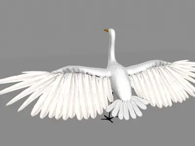 Intermediate Egret 3D model