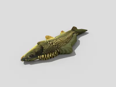 low poly fish carp Low-poly 3D model