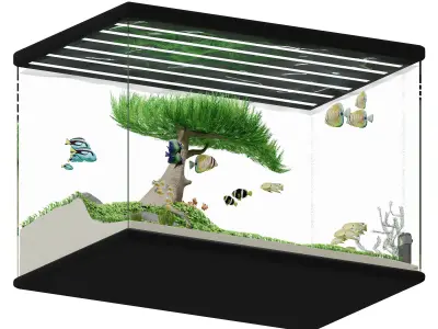 Aquascape Ryoboku Low-poly 3D model