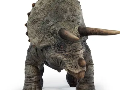 Triceratops Low-poly 3D model