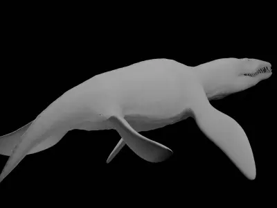 Rigged Liopleurodon 3D Model  Highly Detailed Clean Topology   3D model