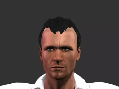 Hair models 3D model