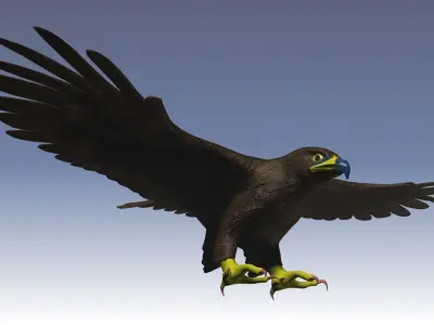 Low Poly Eagle model in flight Low-poly 3D model