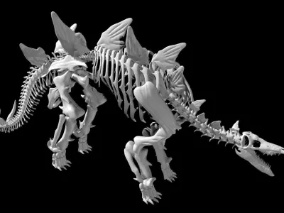Stegosaurus skeleton Low-poly 3D model
