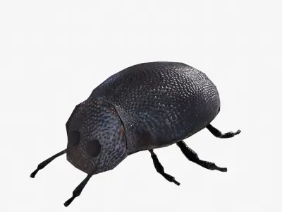 Rigged Bug  Low-poly 3D model