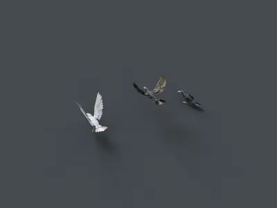 Mobile Crow Low-poly 3D model