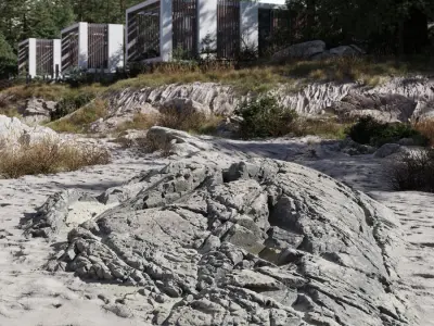  Large Low Cracked Beach Rock Model 