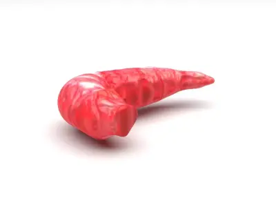 Red Maggot 3D model