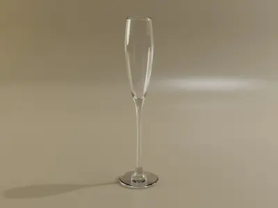 Champagne glass set 3D model