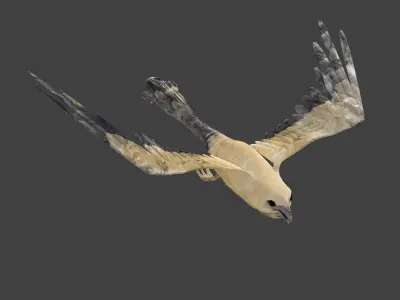 kite animated Low-poly 3D model