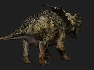 Achelousaurus Low-poly 3D model