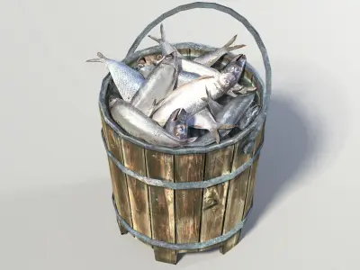 Fish Bucket  Low-poly 3D model