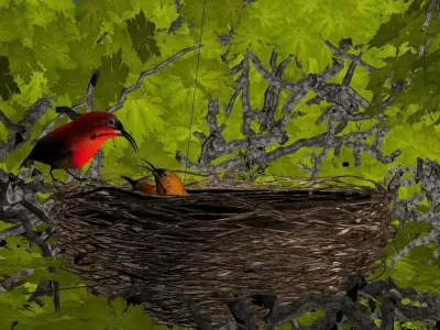 birds weth nest 3D model