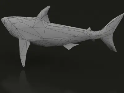 Low Poly Great White Shark Low-poly 3D model