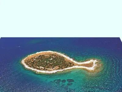 Fish Shaped Island 3D model