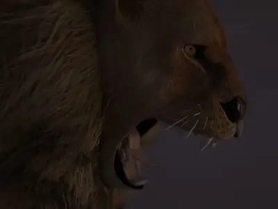 Rigged Lion 3D model