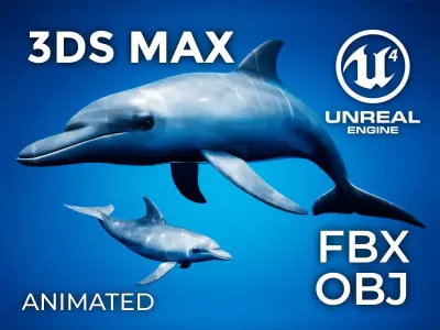 Dolphin Animation Pack - UE4 3ds Max Low-poly 3D model