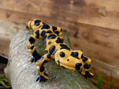 Movable figure of the salmander toy print in place body Free 3D print model