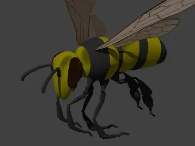 Insect Bee or Wasp 3D model