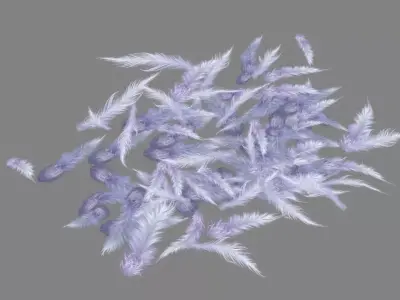 Cartoon bird feathers Low-poly 3D model