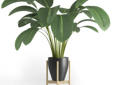 Indoor plant 01 Low-poly 3D model