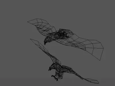 eagle two eagles in flight 3D model