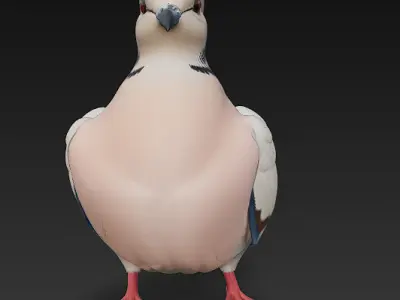 Dove Realistic 3D Model Basic - Low Poly Realistic Low-poly 3D model