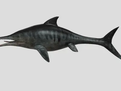 Ophthalmosaurus Realistic Animated Low-poly 3D model