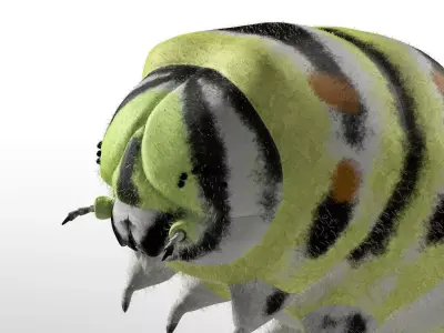 Caterpillar Insect Low-poly 3D model